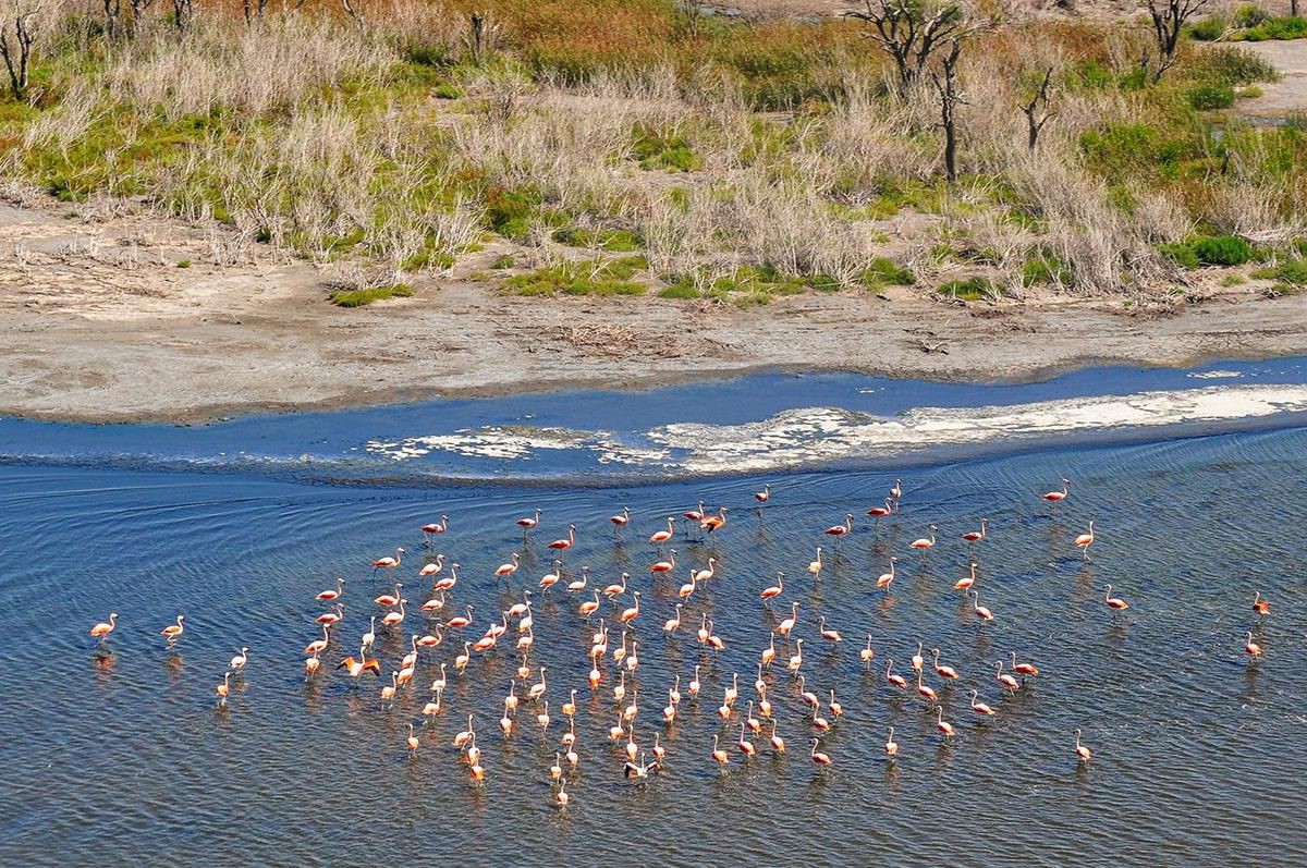 0-6690113353e22-7893